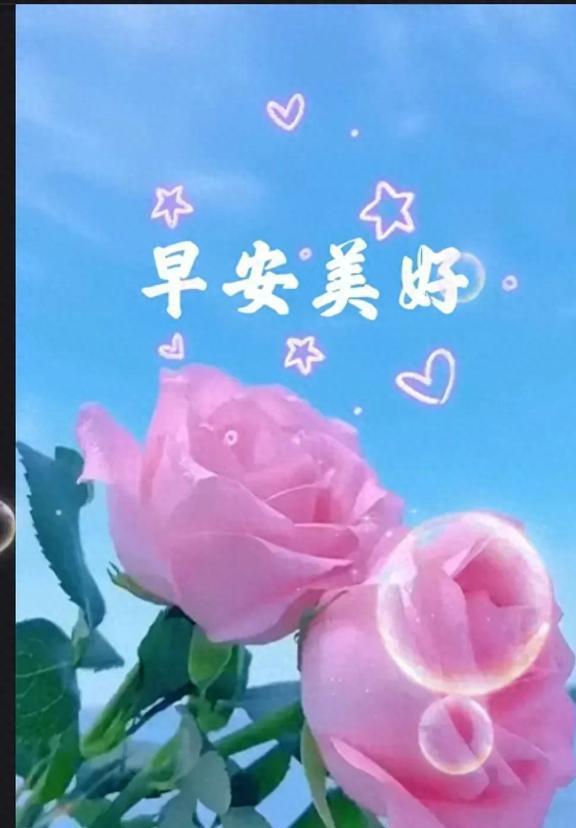 晨曦美好，温馨祝福图集启航