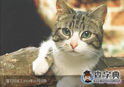 猫咪宝石预言：揭秘本周运势动向，一周猫石运势深度解析