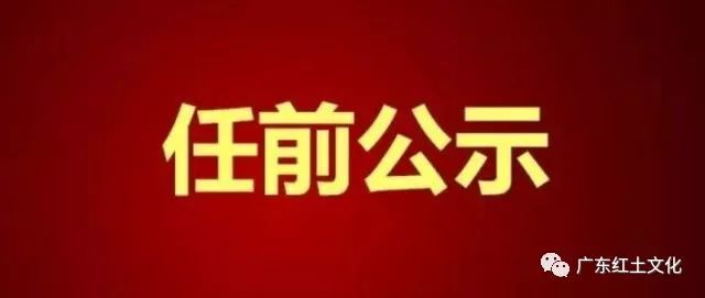 湛江最新人事变动公告揭晓