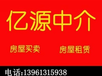 2025年2月6日 第9页