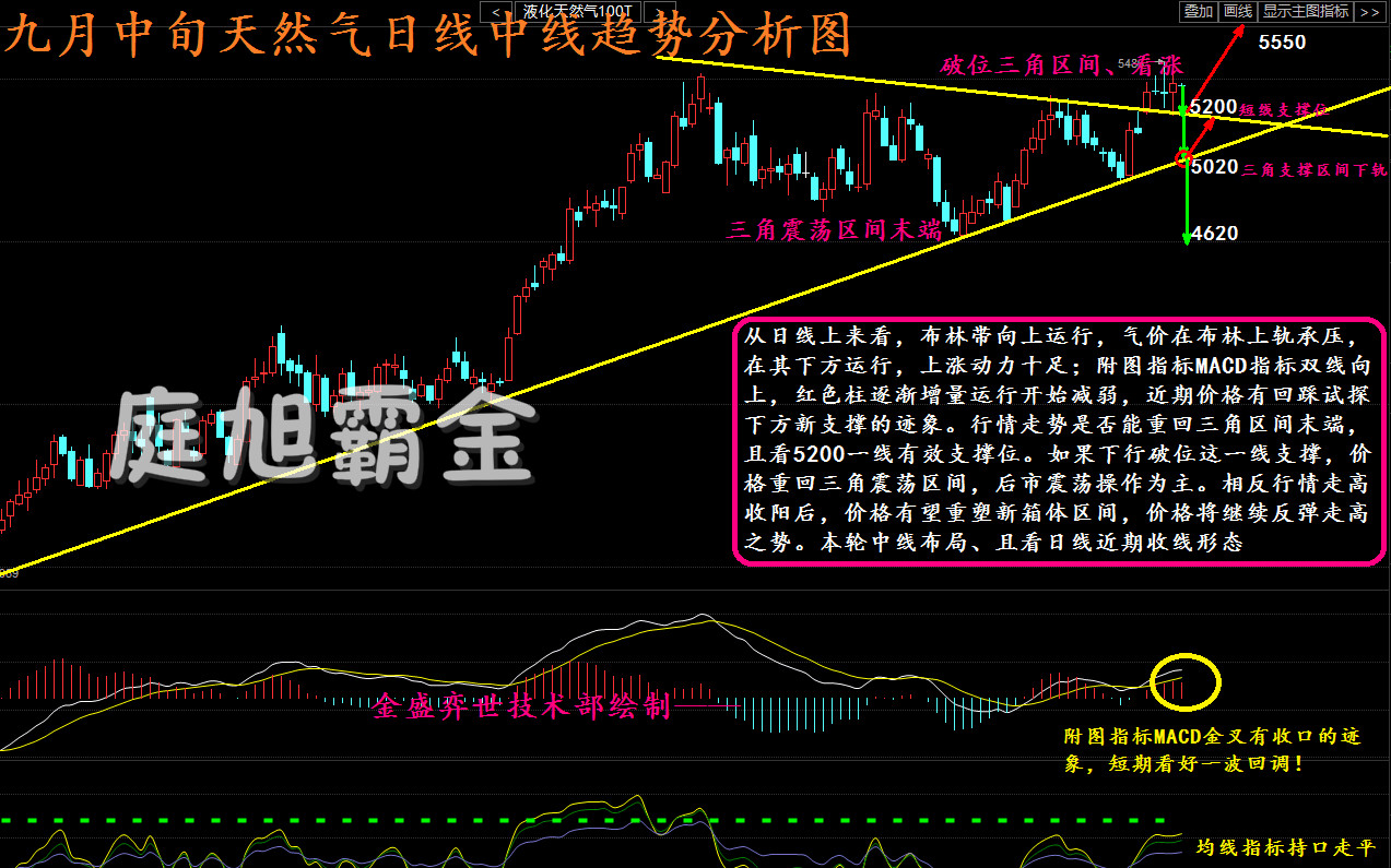 聚焦前沿：最新政策动态与时事热点解读